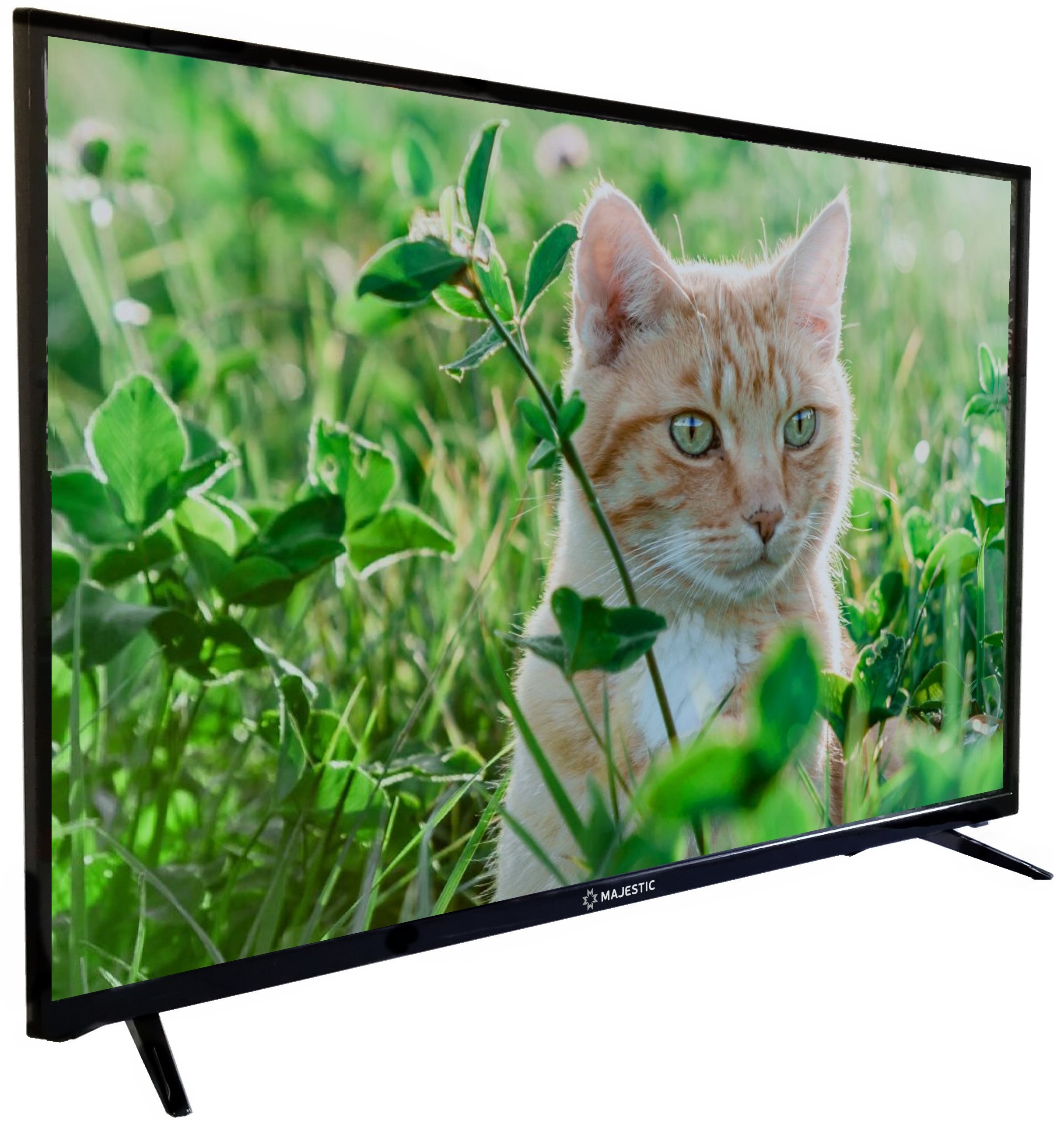 Majestic 43 Pulgadas